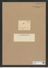 Amphitetras adriatica Kuetz. (de-Toni-Nr.: Genus 137, Species 3644) Zeichnungen Sammlung Grunow Nr. 7139 (NHMW-BOT-W0376107)